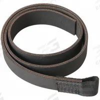 RIDGID Strap, Pipe Handle: Compatible With 42478 (MPN 51778). Key specifications — attr309969: 42478; attr324946: RIDGID.