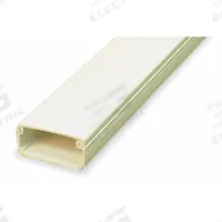 LEGRAND Raceway: PN10, 1 11/16 in Wd, 13/16 in Ht, 96 in Lg, Ivory (MPN PN10L08V). Key specifications — attr3676: Raceway; attr3664: Ivory; attr3666: Snap On; attr3675: Non-Metallic; attr3679: Adhesive; attr42469: PN10.