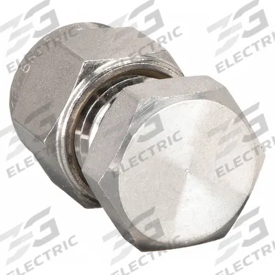 HAM-LET Compression Fitting Cap: 6 mm OD Fitting Size, Compression - Double-Ferrule Stainless Steel Fittings