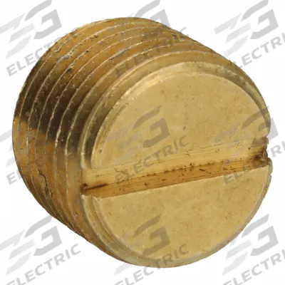 PARKER Plug: Plug, 1/8 in, NPT Threaded, 1,000 psi, 5/16 in Lg - Threaded High-Pressure Pipe Fittings