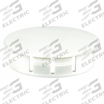 APPROVED VENDOR Hole Plug: Nylon, For 1 in Hole Dia, 1.2 in Head Dia, For 0.13 in Panel Thick - No Web Parent