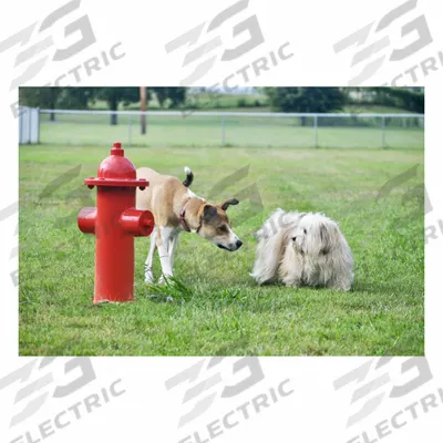 ULTRAPLAY Fire Hydrant: Steel/Thermoplastic, Red, 25 1/4 in Overall Ht - Dog Park Fire Hydrants
