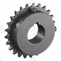 TRITAN Roller Chain Sprocket: 40, For 1/2 in Chain Pitch, 1 7/16 in Bore Dia, 25 Teeth, Steel (MPN 40BS25H X 1 7/16). Key specifications — Brand: TRITAN.