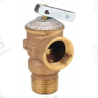 CASH ACME Pressure Relief Valve: MNPT x FNPT, 3/4 in x 3/4 in, Bronze, 150 psi Max. Op Pressure (MPN FWL-2). Key specifications — Brand: CASH ACME.