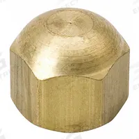 MUELLER Access Valve Cap: 1/4 in Female SAE Right-Hand, 9/16 in Overall Ht, Brass (MPN A 04544). Key specifications — Brand: MUELLER; Material: Brass.