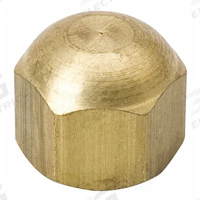 MUELLER Access Valve Cap: 1/4 in Female SAE Right-Hand, 9/16 in Overall Ht - Caps for Access Valves
