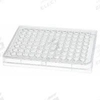 CELLTREAT Well Plate: Sterile, 96 Wells, 0.3 mL, RNase/DNase Free, Tissue Culture Treated, Round (MPN 229590). Key specifications — Brand: CELLTREAT; Body Color: Colorless; RNase/DNase Free: Yes; Well Shape: Round; Material: Polystyrene.