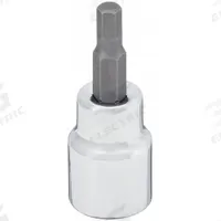 WESTWARD Socket Bit: 3/8 in Drive Size, Hex Tip, 1/4 in Tip Size, 1 3/4 in Overall Lg, Fixed Insert (MPN 53YV81). Key specifications — attr1204765: Fixed Insert; attr1204767: WESTWARD.