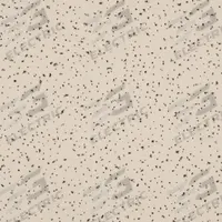 ARMSTRONG Ceiling Tile: 1728AAD, Fine Fissured, 24 in x 24 in, Square Lay-In, 0.55 NRC, 16 PK. Key specifications — Display Sell UOM: PK; Material: Mineral Fiber; Color: Beige; Application: Libraries; Resistance Properties: Fire Resistive; Series: Fine Fissured; Edge Type: Square Lay-In; Manufacturer Part Number: 1728AAD.