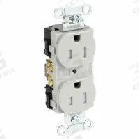 HUBBELL Receptacle: Duplex, 5-15, Gray, 125V AC, 15 A, 2 Pole / 3 Wire (MPN BR15GRYTR)