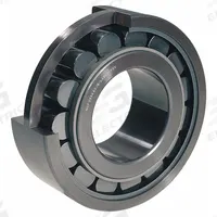 SKF Cylindrical Roller Bearing: 209, 45 mm Bore, 85 mm OD, 19 mm Overall Wd, Cylindrical, Steel (MPN NU 209 ECJ). Key specifications — Manufacturer Part Number: NU 209 ECJ; System of Measurement: Metric; Bearing Industry Number: 209; Ring Material: Alloy Steel; Brand: SKF; Cylindrical Bearing Design: NU.