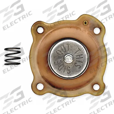 ASCO Valve Rebuild Kit (MPN 316563) - Repair Kits for Solenoid Valves