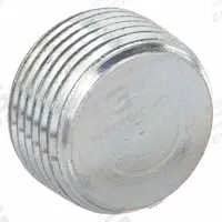 Blank Plugs - Haz Loc: Steel, Electroplated, 1 in Trade Size, NPT, Male to Male, Hub/Taped Hole (MPN PLUG-3). Key specifications — Brand: HUBBELL KILLARK.