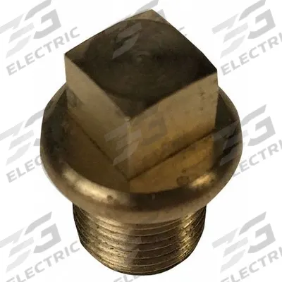 LEGRIS Plug: Cored Plug, C36000 Brass, 3/8 in, BSPT Threaded, 3,626 psi - Threaded Extreme-Pressure Instrumentation Pipe Fittings
