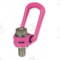 RUD CHAIN Hoist Ring: Pivot/Swivel, Steel w/Pink Powder-Coated Bail, 3/4"-10, Max. 5,500 lb, Lifting (MPN 8502351). Key specifications — Brand: RUD CHAIN; Thread Size: 3/4"-10; Operation: Lifting.
