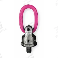 RUD CHAIN Hoist Ring: Pivot/Swivel, Steel w/Pink Powder-Coated Bail, M24-3, Max. 8,820 lb, Lifting (MPN 7989082). Key specifications — Brand: RUD CHAIN; Thread Size: M24-3; Operation: Lifting.
