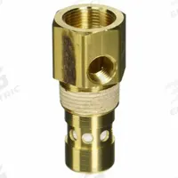 INGERSOLL RAND Check Valve: 85582286, Check Valve, RECIPROCRATING COMPRESSOR