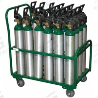 SAFTCART Medical Cylinder Cart: 2,400 lb, 24 Cylinder Capacity, 4 1/2 in Max. Tank Dia., Raised (MPN MDE-24). Key specifications — Brand: SAFTCART; Caster/Wheel Configuration: (2) Swivel with Brake.