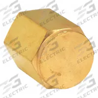 PARKER Cap: Solid Cap, Bright C36000 Brass, 1/8 in, NPT Threaded, 4,000 psi, 3/4 in Lg (MPN 2 CP-B). Key specifications — Maximum Operating Pressure: 4,000 psi.