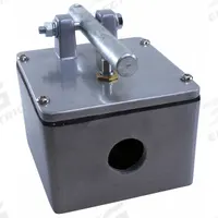AMERICAN GARAGE DOOR SUPPLY Ceiling Pull Switch: Open-Close, SPST, Indoor/Outdoor, Ceiling Mount (MPN CP-1). Key specifications — Manufacturer Part Number: CP-1; Brand: AMERICAN GARAGE DOOR SUPPLY; Compatible Product Type: Gate Operators; Contact Form: SPST; Control Functions: Open-Close; For Location: Indoor/Outdoor; Mounting Location: Ceiling Mount; Product Type: Ceiling Pull Switch.