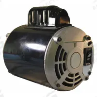 JB INDUSTRIES Motor,115V, 60 Hz with Line Cord and Switch: PR-206, Motor