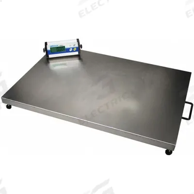ADAM EQUIPMENT Floor Scale: 440 lb Wt Capacity - Imperial, 0.05 kg, 0.1 lb Readability - Floor Scales