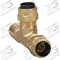 PARKER Compression Tee Fitting: 1/4 in OD x 1/8 in Pipe x 1/4 in OD Fitting Size, Brass, 10 PK (MPN 171P-4-2). Key specifications — attr1195695: PARKER.