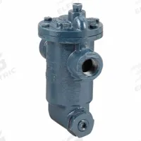 Steam Trap: Cast Iron, 3/4 in FNPT, 1,000 lb/hr, 30 psi Max., 450°F Max., Strainer Included (MPN 881-075-030). Key specifications — Installation Orientation: Horizontal; Brand: ARMSTRONG INTERNATIONAL; Configuration: In-line.