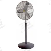 AIRMASTER FAN Circulating Fan: 24 in Blade Dia, 3 Speeds, 1/4 hp Motor HP, Non-Oscillating, 115V AC (MPN 71584). Key specifications — Voltage: 115V AC; Product Type: Circulating Fan; Brand: AIRMASTER FAN; Number of Speeds: 3; Oscillation: Non-Oscillating; Phase: Single; Application: Commercial.