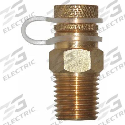 WINTERS Pressure Test Plug: Brass, 1/4 in NPT - Pressure & Temperature Test Plugs