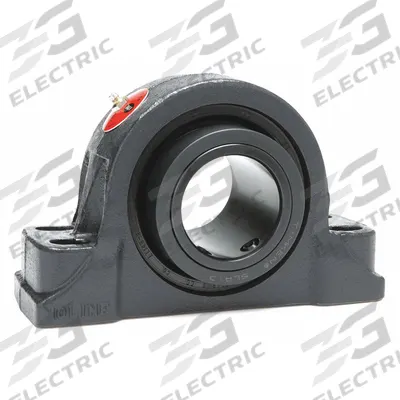 MOLINE BEARING Pillow Block Bearing: 2 15/16 in Bore, Expansion, Cast Iron - Expansion Pillow Block Spherical Roller Bearings