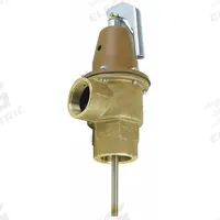 WATTS Pressure Safety Relief Valve: Section XIII ASME Section, FNPTF x FNPTF, Copper Silicon Alloy (MPN 0121601). Key specifications — Brand: WATTS; Body Material: Copper Silicon Alloy.