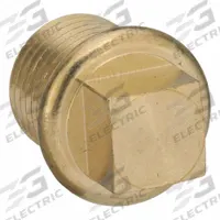 LEGRIS Plug: Cored Plug, C36000 Brass, 1/4 in, BSPT Threaded, 3,626 psi, 23/32 in Lg (MPN 0209 13 00). Key specifications — Maximum Operating Pressure: 3,626 psi.