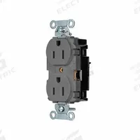 HUBBELL Receptacle: Duplex, 5-15, Gray, 125V AC, 15 A, 2 Pole / 3 Wire (MPN BR15STGY)