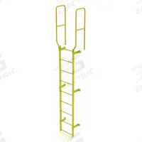 TRI-ARC Ladder,Walk-Thru Fixed,Steel,9-Rung: 12 ft Overall Ht, 28 in Overall Wd, Steel, 9 Rungs (MPN WLFS0209-Y). Key specifications — Brand: TRI-ARC; Number of Sections: 1.