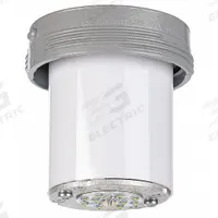 HUBBELL KILLARK Hazardous Location Fixture Combo: 1,625 lm, T5 Temp Code, 5000K, 16 W, 120/277V AC (MPN VSL1630F1HG). Key specifications — attr1259085: 120/277V AC; attr1259084: T5; attr1259058: Class I, Div 2, Group A, B, C, D; attr1259088: No; attr1259089: 5000K; attr1259106: HUBBELL KILLARK.