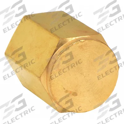 PARKER Cap: Cored Cap, Bright C36000 Brass, 3/8 in, NPT Threaded, 3,500 psi - Threaded Extreme-Pressure Instrumentation Pipe Fittings