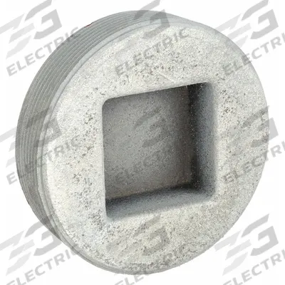 APPLETON ELECTRIC Blank Plugs - Haz Loc: Iron, Galvanized, 1 1/2 in Trade Size, NPT - Hazardous Location Blank Plugs