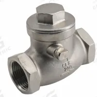 APPROVED VENDOR Check Valve: Swing, Inline Valve Body, 2 1/2 in Pipe Size, FNPT x FNPT, Horizontal (MPN 06H041N01212). Key specifications — Brand: APPROVED VENDOR.