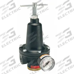 PARKER Compressed Air Regulator: Zinc, 3/4 in NPT, 300 cfm, 2 psi to 125 psi, Screwdriver (MPN R119-06CG/M2). Key specifications — attr111664: Yes; attr111400: R119; attr111627: PARKER.