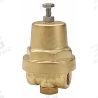 CASH VALVE Cryogenic Pressure Regulator: Brass, NPT x NPT, 3/8 in Inlet Connection Size (MPN A32ZBCSZSZTF01-E6-0125). Key specifications — Brand: CASH VALVE.