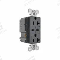 USB Receptacle: Duplex, 5-15R, 2 USB Ports, USB Type C, Gray, 125V AC, 20 A (MPN TR20USBPDG). Key specifications — Brand: PASS & SEYMOUR.