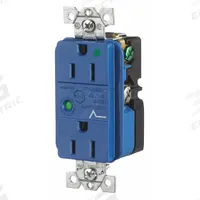 BRYANT Receptacle: Hospital Grade, Duplex, 5-15R, Blue, 125V AC, 15 A, 2 Pole / 3 Wire (MPN SP82A)