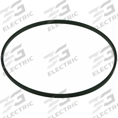BALDWIN FILTERS Gasket: Hydraulic Filter, Gasket, Buna-N, 1/8 in Lg - Hydraulic Filter Accessories