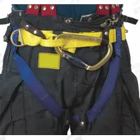 GEMTOR Rescue Harness: II, Nylon, 36 in Waist Size (Min), 50 in Waist Size (Max) (MPN 541NYCL-2A). Key specifications — Brand: GEMTOR; Standards: NFPA 1893; Hardware Material: Aluminum; Webbing Materials: Nylon; Back D-Ring: No; Class: II; Color: Yellow; Front D-Ring: No.