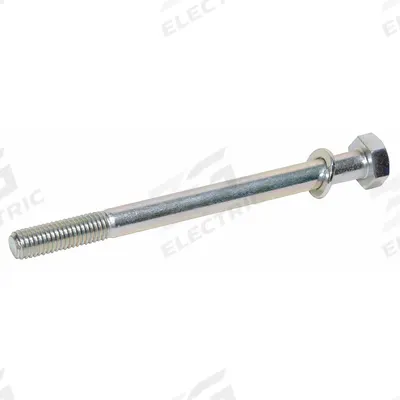 Dayton Bolt: Bolt, Stainless Steel - Hardware