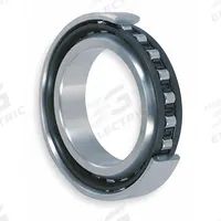 NTN Cylindrical Roller Bearing: 319, 95 mm Bore, 200 mm OD, 45 mm Overall Wd, Cylindrical, Brass (MPN NU319EG1C3). Key specifications — Manufacturer Part Number: NU319EG1C3; System of Measurement: Metric; Bearing Industry Number: 319; Ring Material: Alloy Steel; Brand: NTN; Cylindrical Bearing Design: NU.