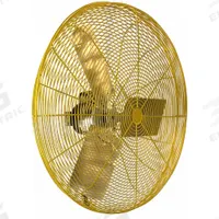HESSAIRE Fan Head: 30 in Blade Dia, 2 Speeds, 115V AC, 1/2 hp Motor, Non-Oscillating (MPN 30R6Y2). Key specifications — Voltage: 115V AC; Brand: HESSAIRE; Number of Speeds: 2; Phase: Single.