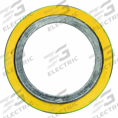 FLEXITALLIC Spiral Wound Flange Gasket: Graphite Filler, 316L Stainless Steel Winding - Graphite Spiral-Wound Gaskets