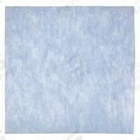 GRAINGER Air Filter Pad: 20 in x 20 in x 1 in, Polyester, Blue/White (MPN 5W099). Key specifications — attr1286261: Polyester; attr1286264: Yes; attr1286288: Blue; attr1286283: GRAINGER.